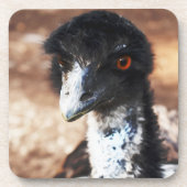 Doordringende ogen van de outback bier onderzetter (Voorkant)