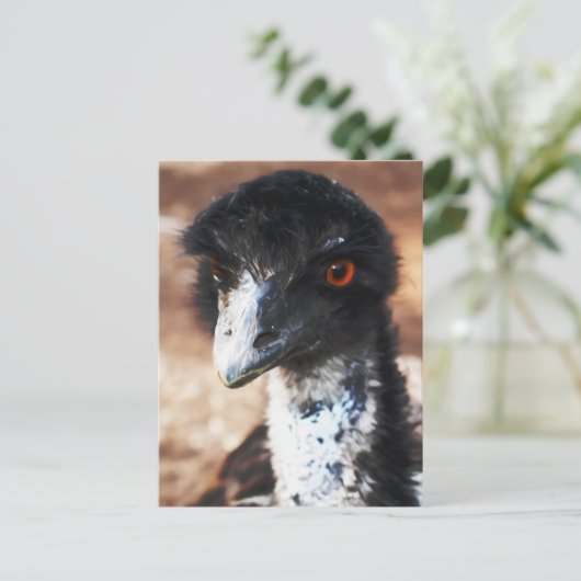 Doordringende ogen van de outback briefkaart (Staand voorkant)