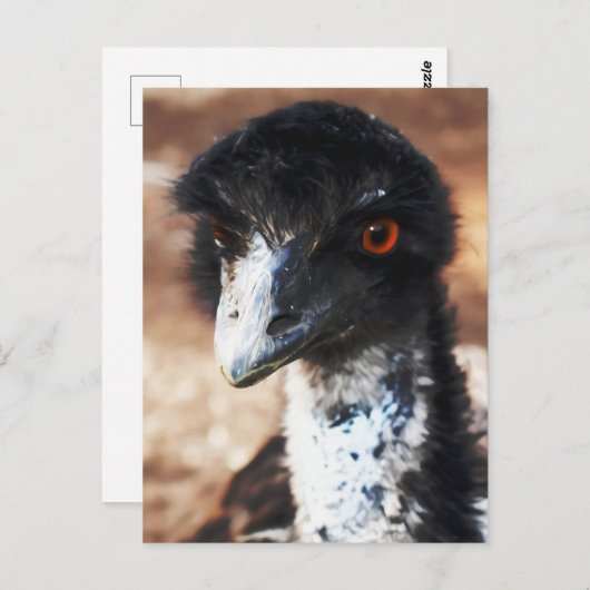 Doordringende ogen van de outback briefkaart (Voorkant / Achterkant)