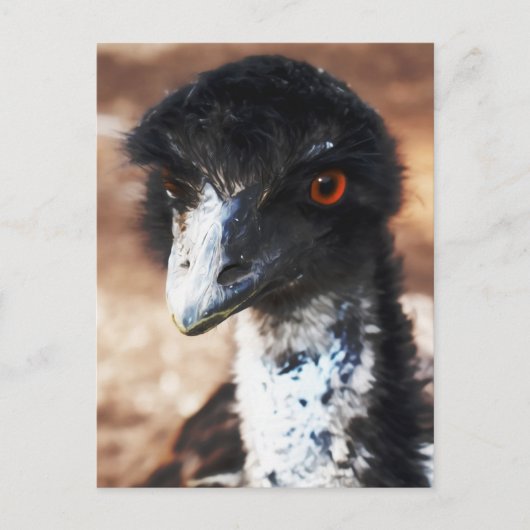 Doordringende ogen van de outback briefkaart (Voorkant)