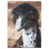 Doordringende ogen van de outback klembord (Achterkant)