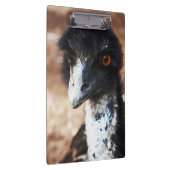 Doordringende ogen van de outback klembord (Rechts)