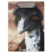 Doordringende ogen van de outback klembord (Voorkant)