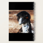 Doordringende ogen van de outback notitieboek (Achterkant)
