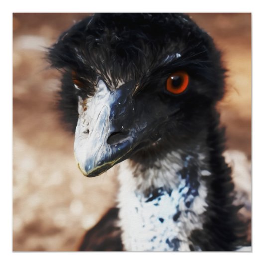 Doordringende ogen van de outback perfect poster (Voorkant)