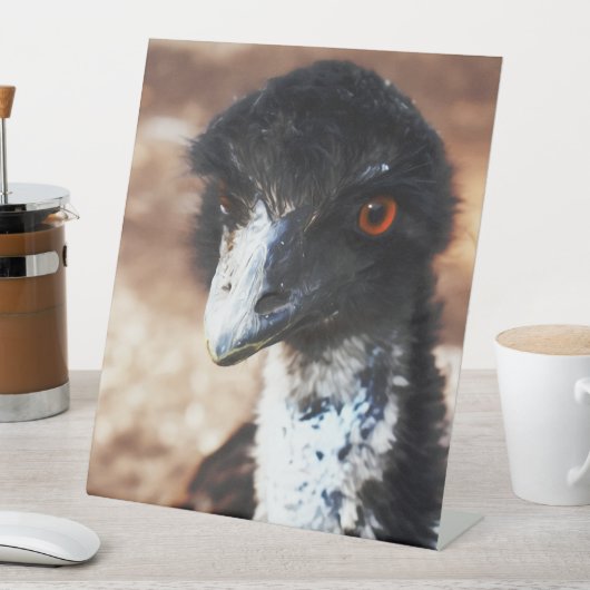 Doordringende ogen van de outback reclamebord met voetstuk (Insitu)