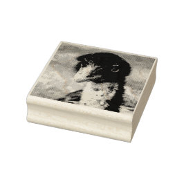 Doordringende ogen van de outback rubberstempel