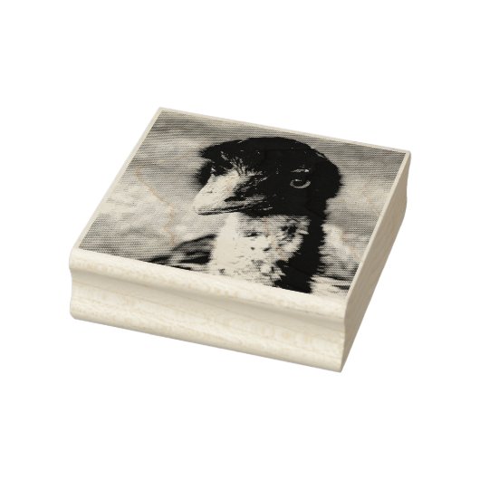 Doordringende ogen van de outback rubberstempel (Stempel)