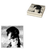 Doordringende ogen van de outback rubberstempel (Gestempeld)