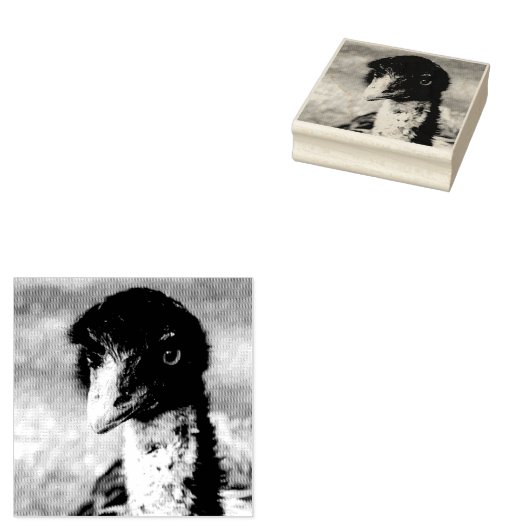 Doordringende ogen van de outback rubberstempel (Gestempeld)