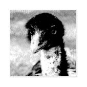 Doordringende ogen van de outback rubberstempel (Afrduk)