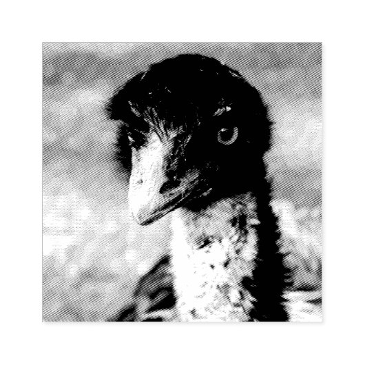 Doordringende ogen van de outback rubberstempel (Afrduk)