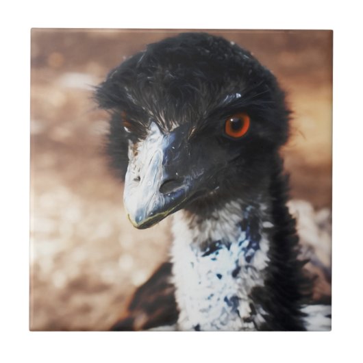 Doordringende ogen van de outback tegeltje (Voorkant)