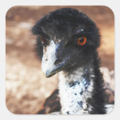 Doordringende ogen van de outback vierkante sticker (Voorkant)