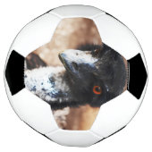 Doordringende ogen van de outback voetbal (Gedraaid)