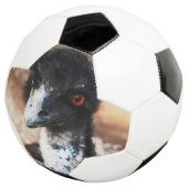 Doordringende ogen van de outback voetbal (Drie kwart)