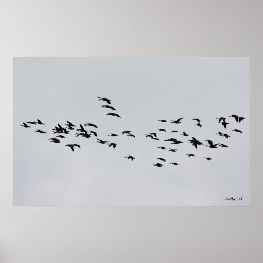 Doorgaan met 1 poster (Voorkant)