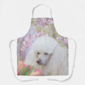 Doorgaans wieg schort (Voorkant)