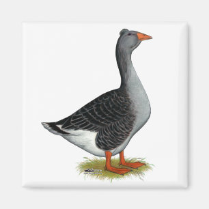 Doorgenaaide de Gans van Toulouse Magneet