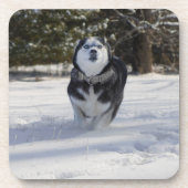 Doorladen Drankjes Onderzetter (Voorkant)