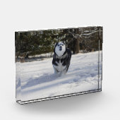 Doorladen Fotoblokken (Links)