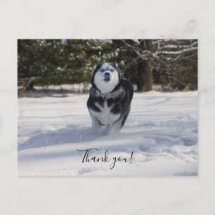 Doorladen Hartelijk dank Briefkaart