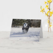 Doorladen Kaart (Gele Bloem)