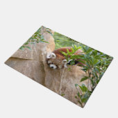 Doormat Foto: Red panda, dieren 0233. Deurmat (Schuin)