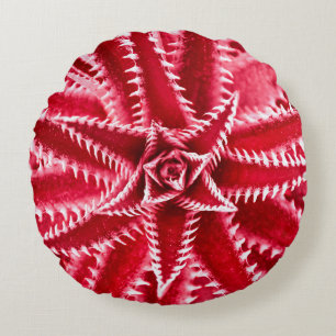 doorn cactus, natuurlijk patroon, abstracte rode r rond kussen