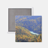 doorn pas magneet (Voorkant / Achterkant)