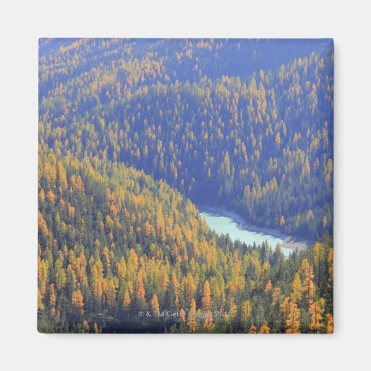 doorn pas magneet (Voorkant)