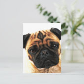 doornhaai briefkaart (Staand voorkant)