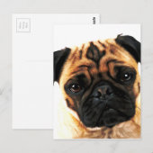 doornhaai briefkaart (Voorkant / Achterkant)