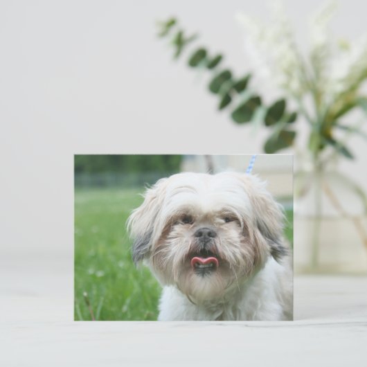 Doornhaai Briefkaart (Staand voorkant)