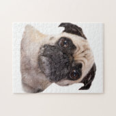 doornhaai legpuzzel (Horizontaal)