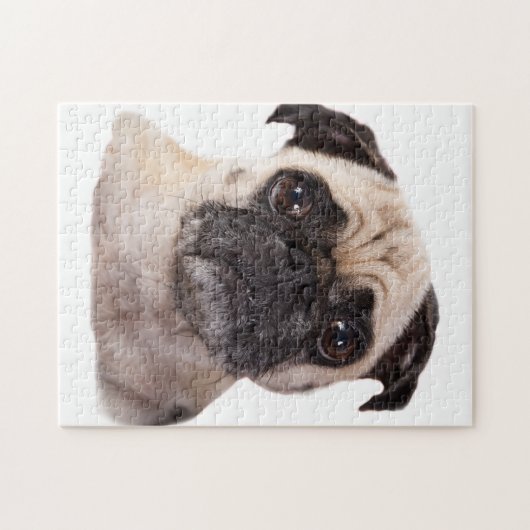 doornhaai legpuzzel (Horizontaal)