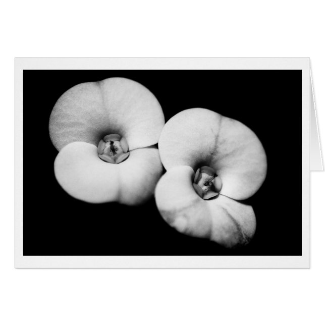 doornkroon (Voorkant Horizontaal)