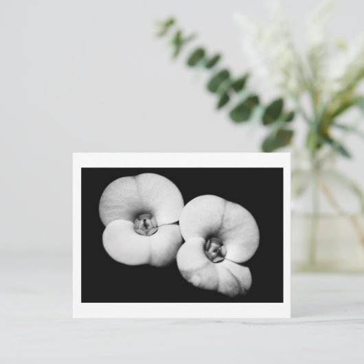 doornkroon briefkaart (Staand voorkant)