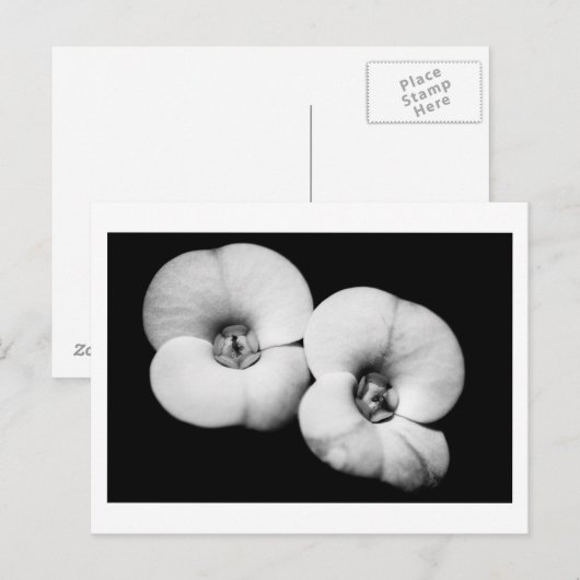 doornkroon briefkaart (Voorkant / Achterkant)