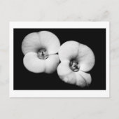 doornkroon briefkaart (Voorkant)