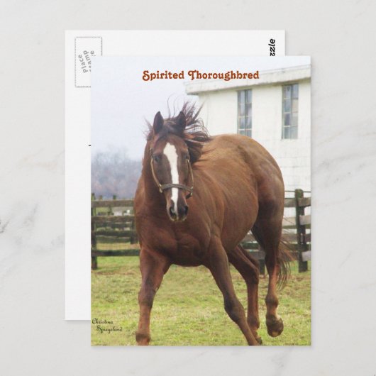 Doornroosd Briefkaart (Voorkant / Achterkant)