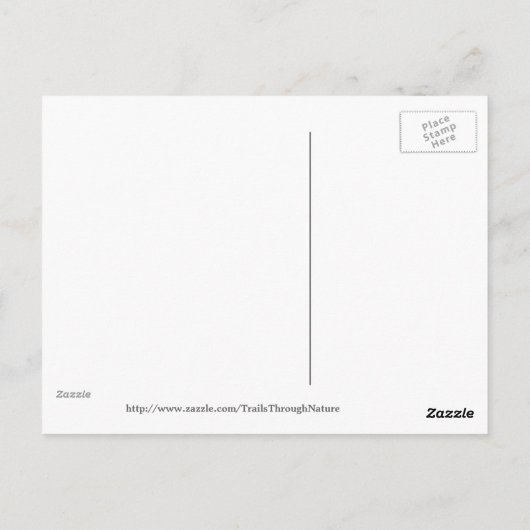 Doornroosd Briefkaart (Achterkant)