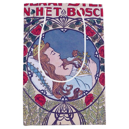 Doornroosje, Hoesje kunst, Van Caspel Medium Cadeauzakje (Voorkant)