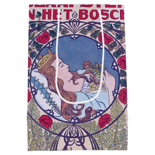 Doornroosje, Hoesje kunst, Van Caspel Medium Cadeauzakje (Achterkant)