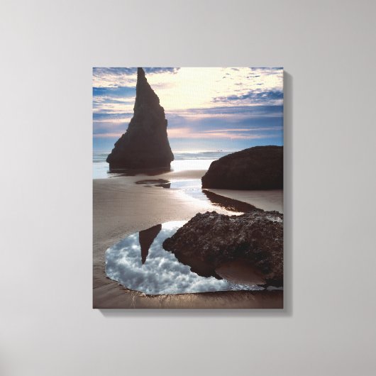 Doornvormige zeestack | Face Rock Wayside, OR Canvas Afdruk (Voorkant)