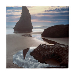 Doornvormige zeestack Face Rock Wayside, OR Tegeltje