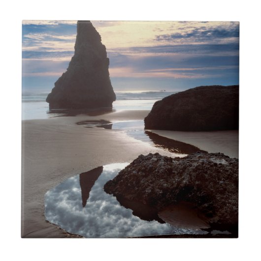 Doornvormige zeestack | Face Rock Wayside, OR Tegeltje (Voorkant)