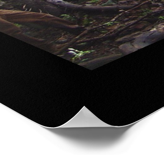 Doorrijden Poster (Hoek)