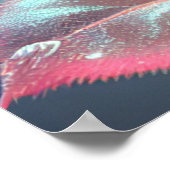 Doorschijnend glazen Roos - Dusty Pink Poster (Hoek)