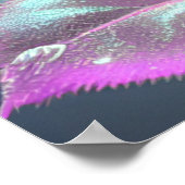 Doorschijnend glazen Roos - Roze Poster (Hoek)